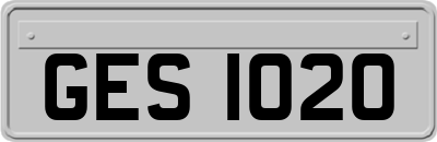 GES1020
