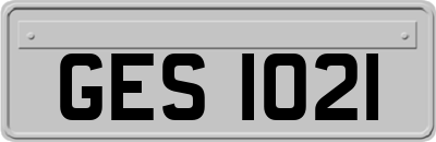 GES1021