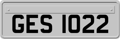 GES1022