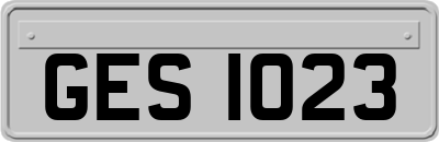GES1023