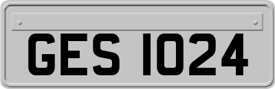 GES1024