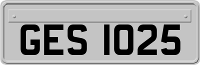 GES1025