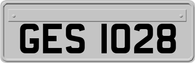 GES1028