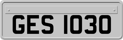 GES1030