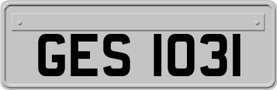 GES1031