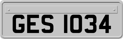 GES1034