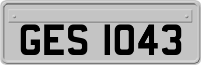 GES1043