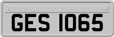 GES1065