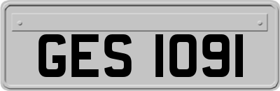 GES1091