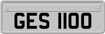GES1100