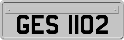 GES1102