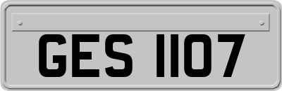 GES1107