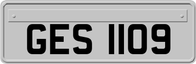 GES1109