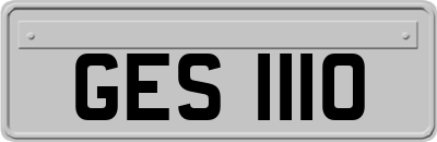 GES1110