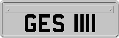 GES1111