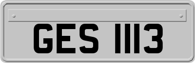 GES1113