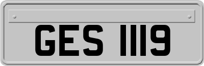 GES1119