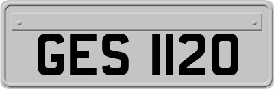 GES1120