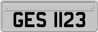 GES1123