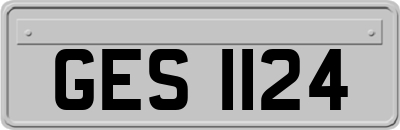 GES1124