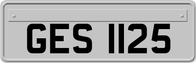 GES1125