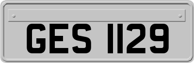 GES1129