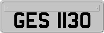 GES1130