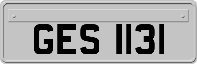 GES1131
