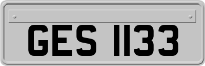 GES1133