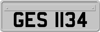 GES1134