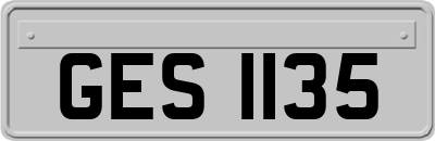 GES1135