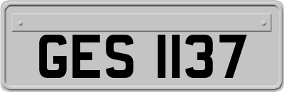 GES1137