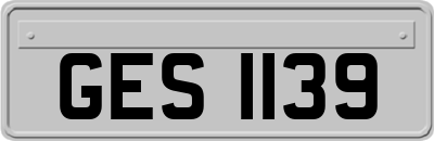 GES1139