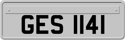 GES1141