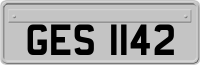 GES1142