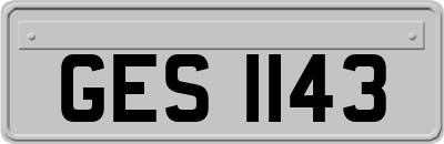 GES1143