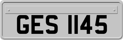 GES1145