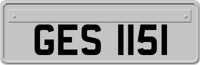 GES1151