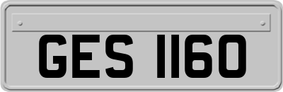 GES1160
