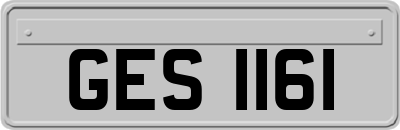 GES1161