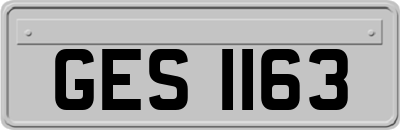 GES1163