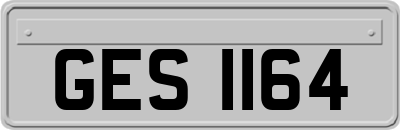 GES1164
