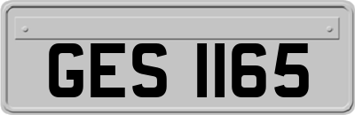 GES1165