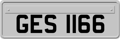 GES1166