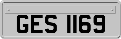 GES1169