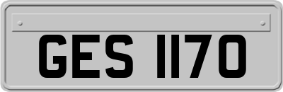 GES1170
