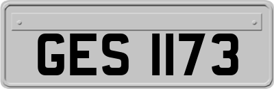 GES1173