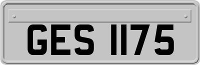 GES1175