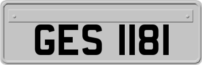 GES1181