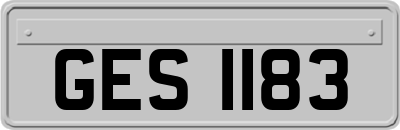 GES1183